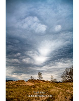 Workshop At Ludington State Park (8221) 