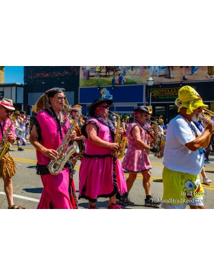 Ludington 4th of July Parade (2955)