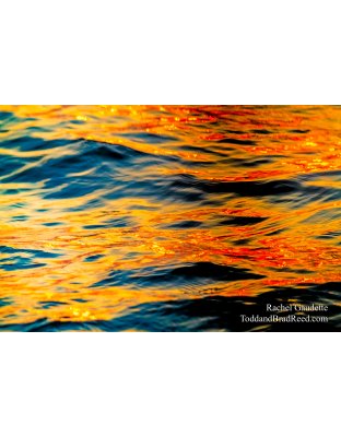 Beautiful Reflections