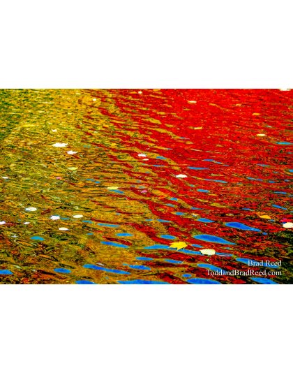 Fall Color at West Shore (4307)