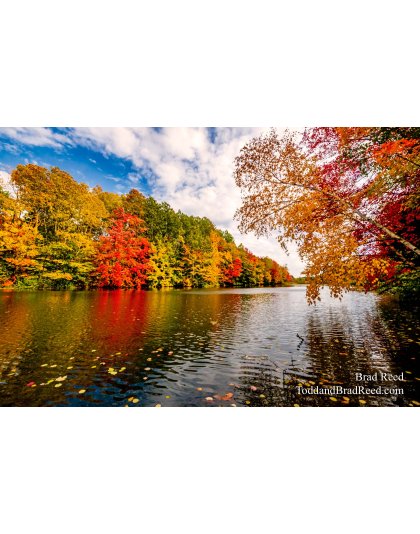 Fall Color at West Shore (4309)