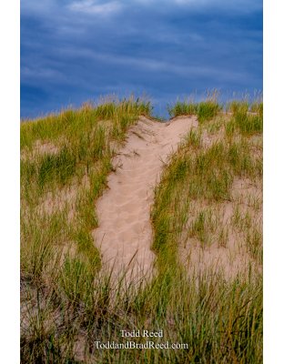 Dune Walking