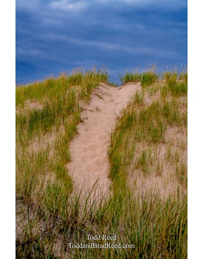 Dune Walking