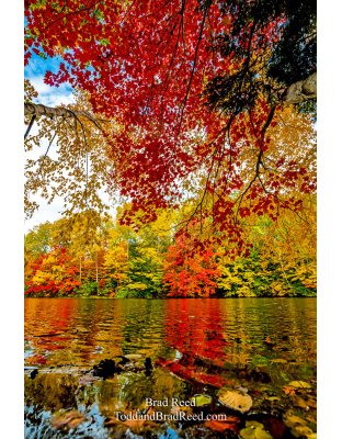 Fall Color at West Shore (4343) 