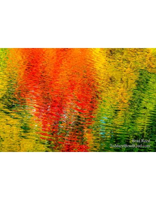 Fall Color at West Shore (4365)