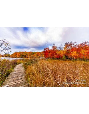 Ludington State Park (4405)