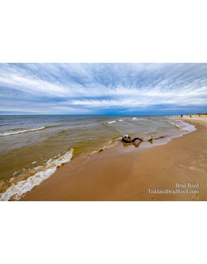 Workshop at Ludington State Park (2258) 
