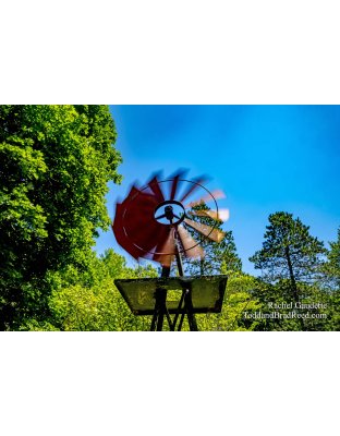 Windmill by Aunt Mary's