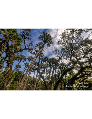 Fighting For Position