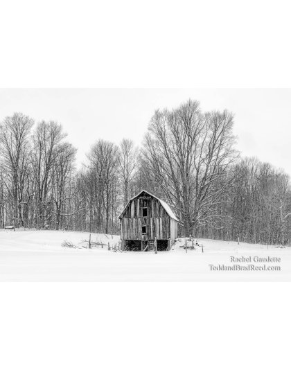 Remembering the Good times