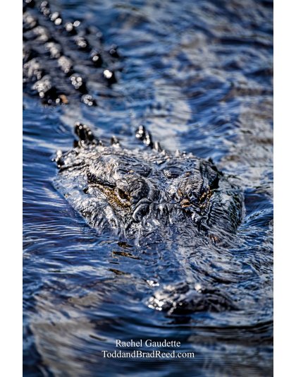 Thinking about Lunch