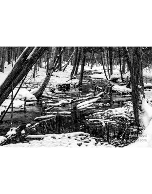 Deer Creek (Black and White)