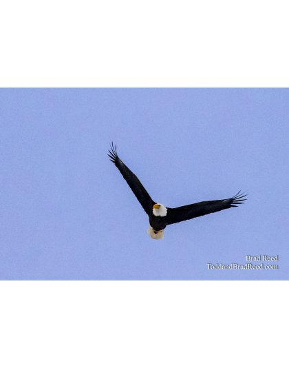 Flying over Legends Ranch