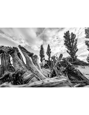 Rachel Gaudette_5407