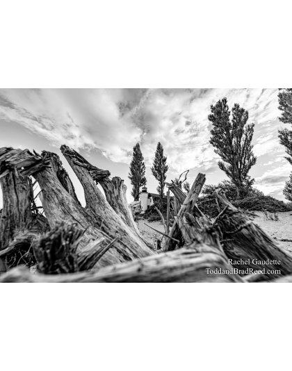 Rachel Gaudette_5407