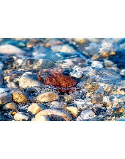 Rachel Gaudette Ventifacts 5437