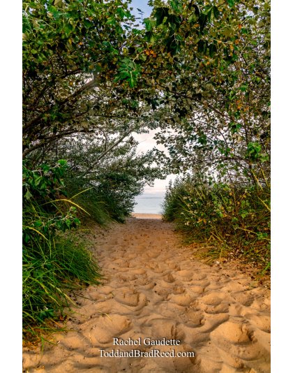 Rachel Gaudette_5437