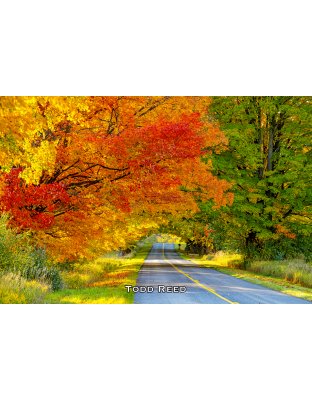 Splendor of Fall Workshop 2025, October 17 - 19, 2025 