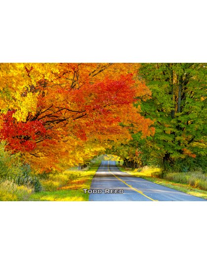 Splendor of Fall Workshop 2025, October 17 - 19, 2025 