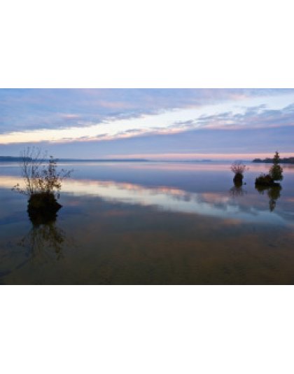 Cook's Island (3737)