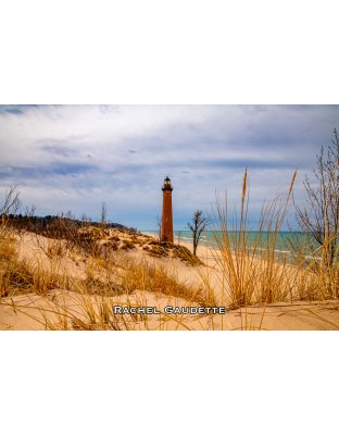 October Patterns (4467)