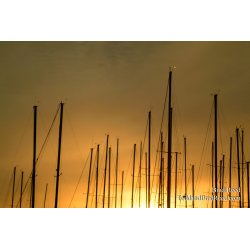 A Sailor\'s Morning