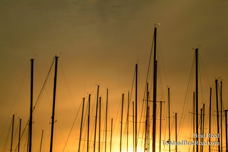 A Sailor's Morning
