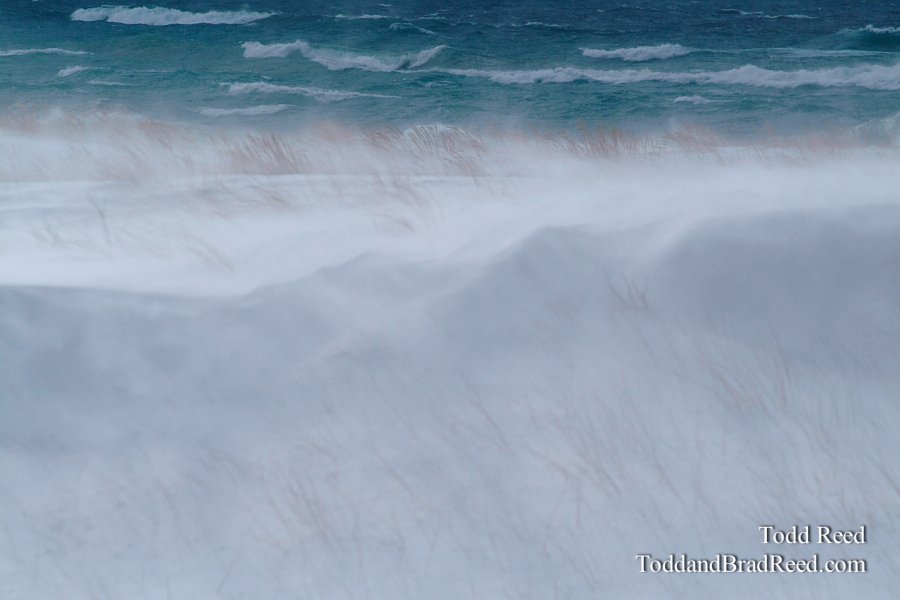Winter Watch