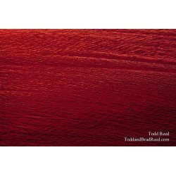 Red Sea