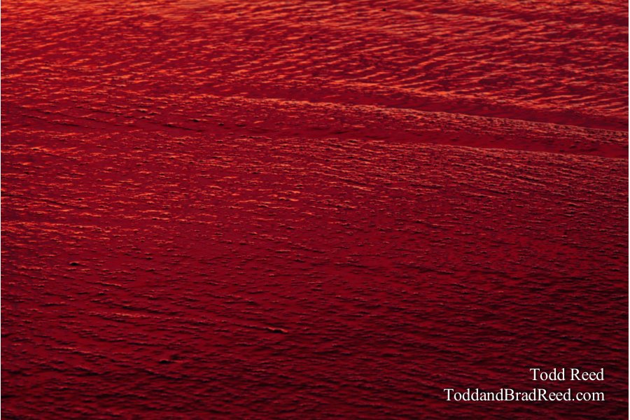 Red Sea