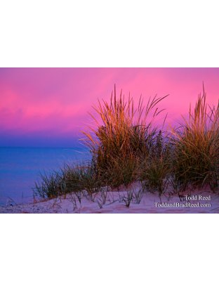 Morning at the Beach