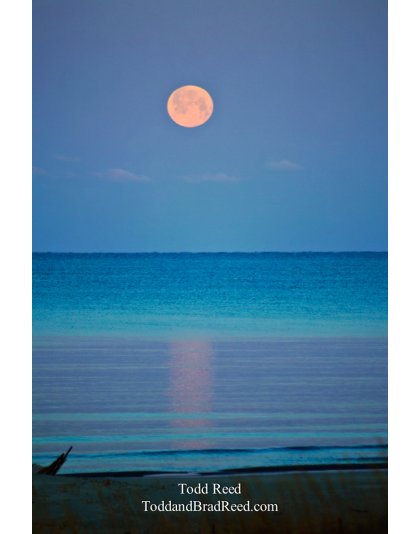 Turquoise Moon