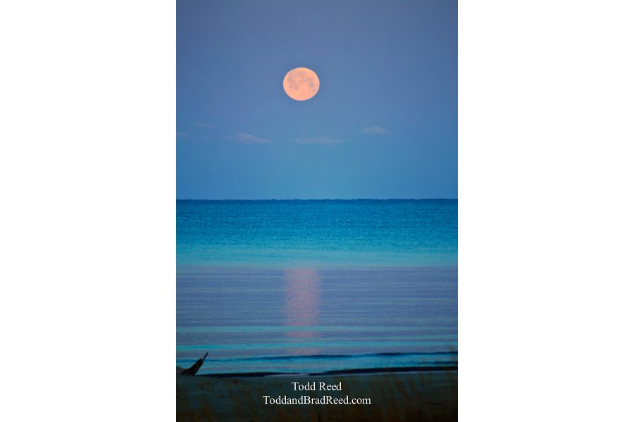 Turquoise Moon
