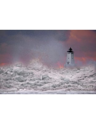 Withstanding the Storm