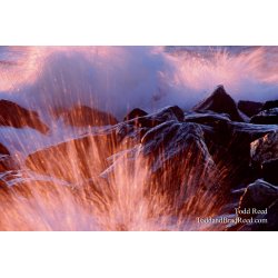 Fire Water