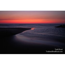 Sauble Sunset