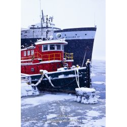 Winter Voyagers