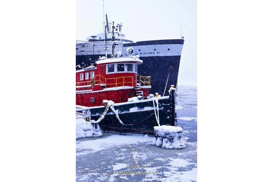 Winter Voyagers
