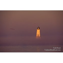 Mystic Morning