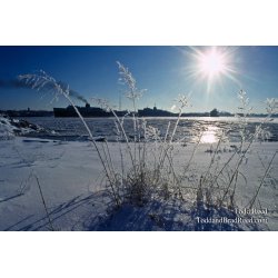 Frosty Outlook