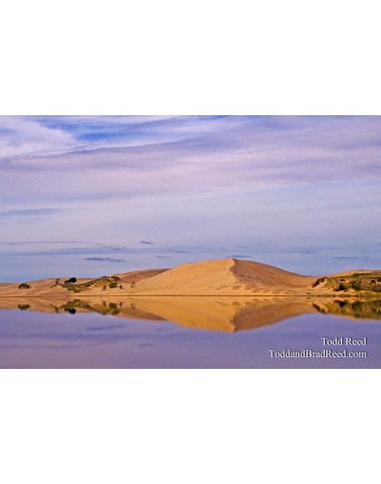 Dune Reflection