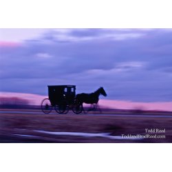 Amish Byway