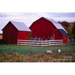 Pastoral Scene