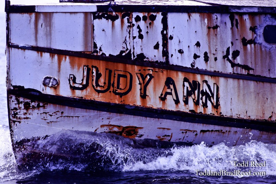 Judy Ann