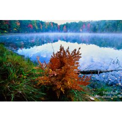 North Country Splendor