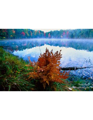 North Country Splendor