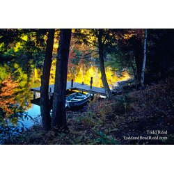 Bayou Splendor