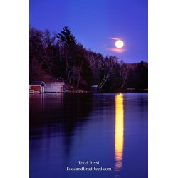 Moonlight on the Bayou