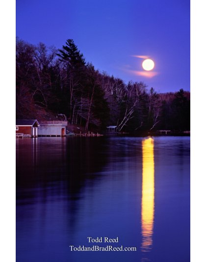 Moonlight on the Bayou
