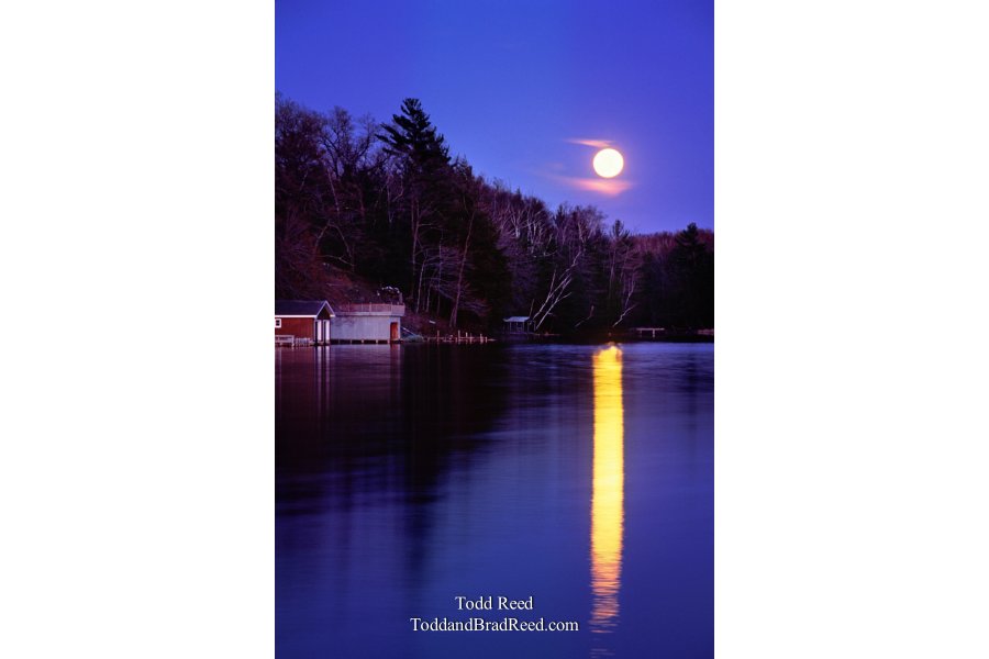 Moonlight on the Bayou